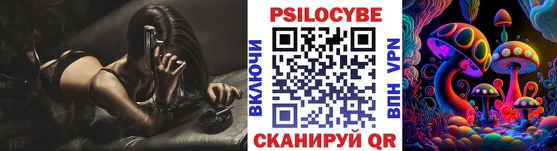 дарнет шоп  Лакинск  Галлюциногенные грибы Magic Shrooms 